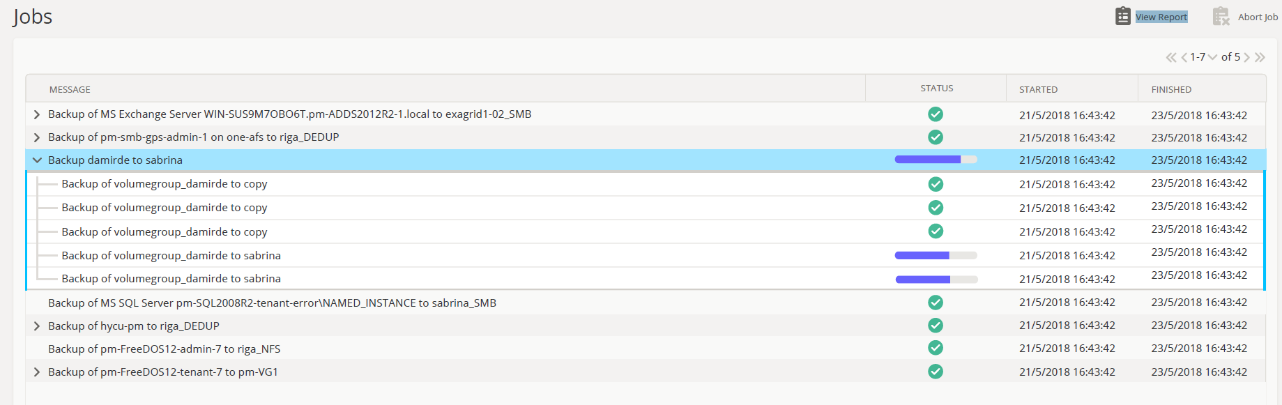 How volume Groups are represented in HYCU's interface