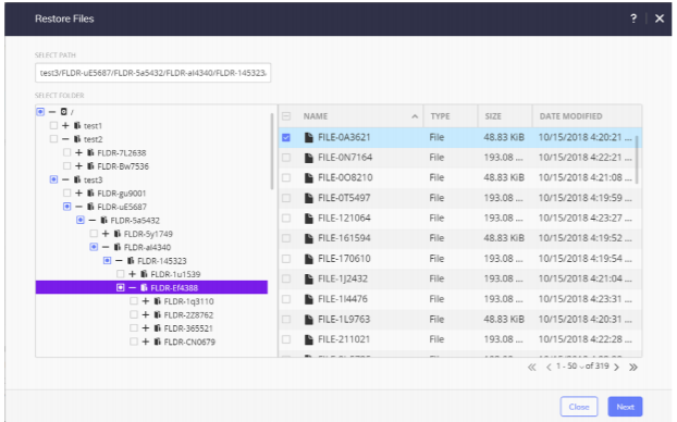 Selecting Files to Restore