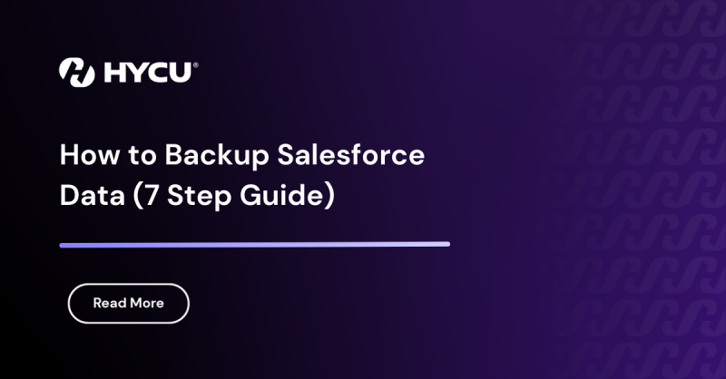 653ff7ca70b8a1cc0cc8d2d5_How%20to%20Backup%20Salesforce%20Data%20(7%20Step%20Guide).png