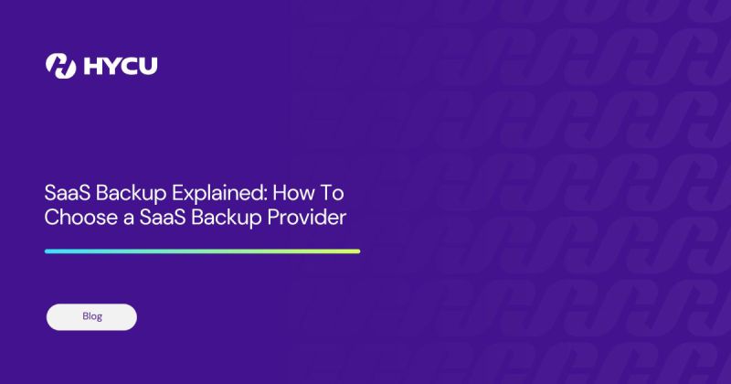 SaaS Backup Explained og