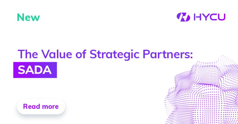The Value of Strategic Partners SADA og
