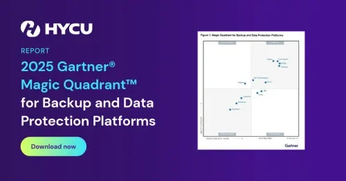 Gartner Report 2025 og 
