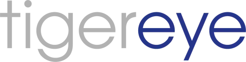 Tiger Eye Consulting color logo