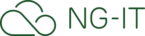 NG IT logo